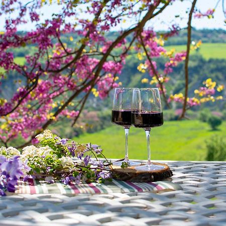 I Sicomori - Seme Di Carota - Glamping E Appartamenti Con Piscina A 사투르니아 외부 사진