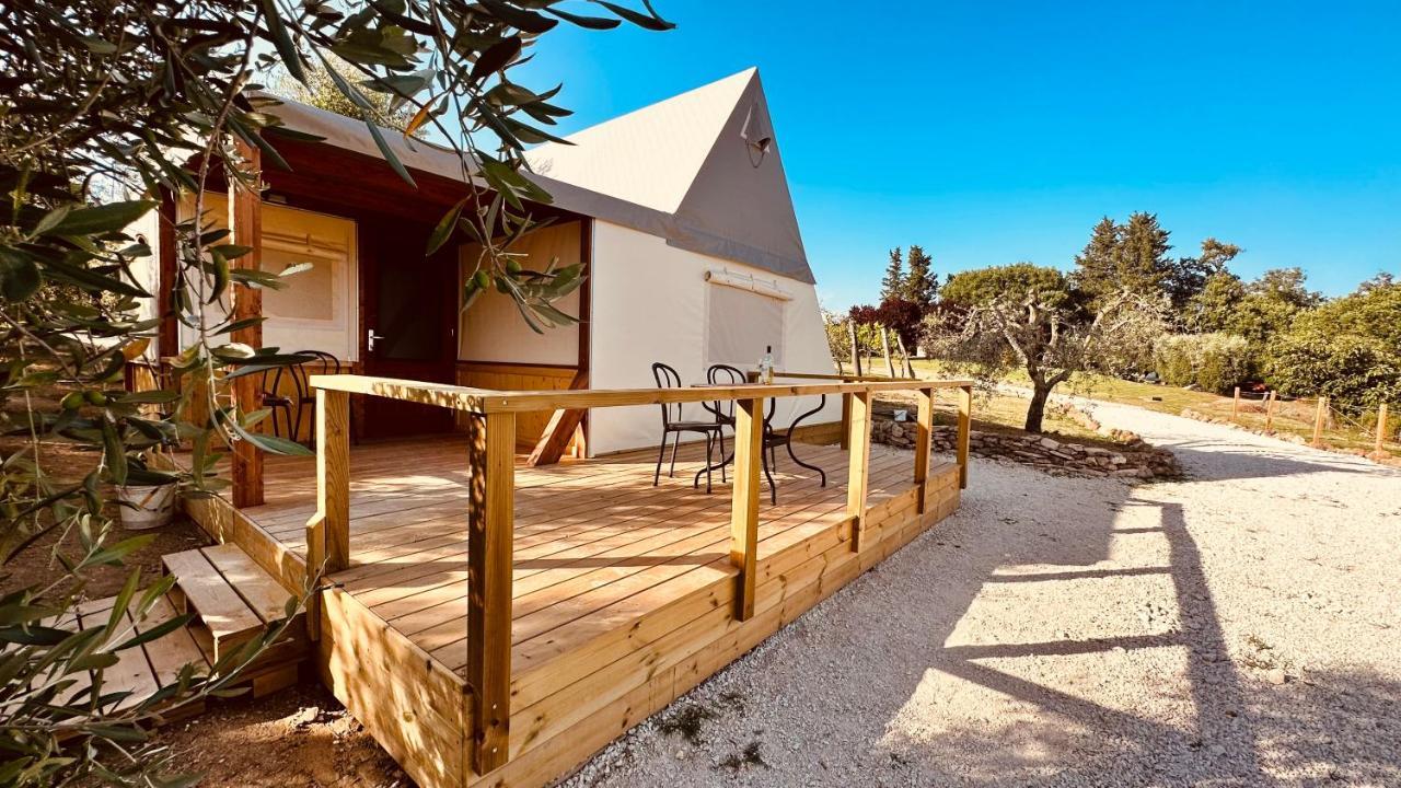 I Sicomori - Seme Di Carota - Glamping E Appartamenti Con Piscina A 사투르니아 외부 사진
