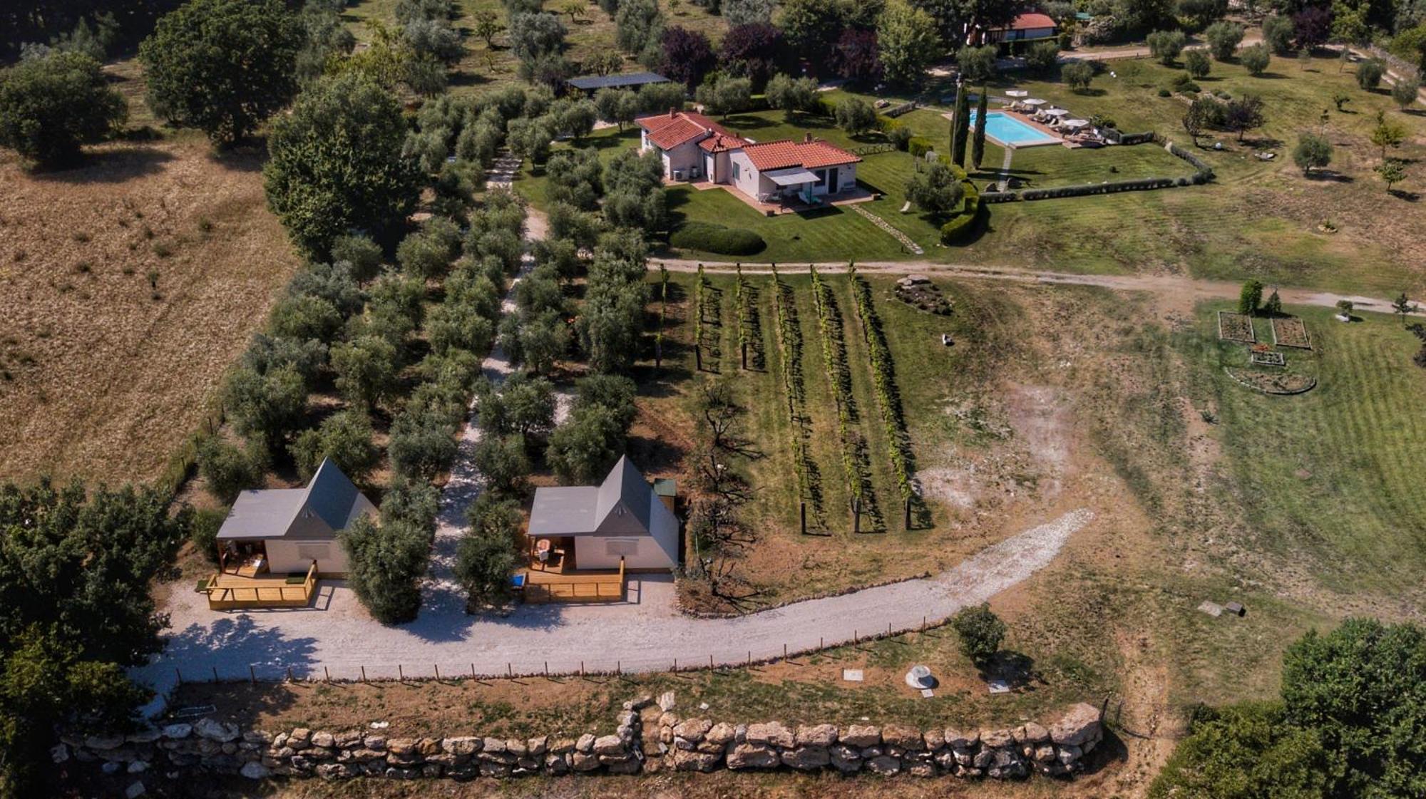 I Sicomori - Seme Di Carota - Glamping E Appartamenti Con Piscina A 사투르니아 외부 사진