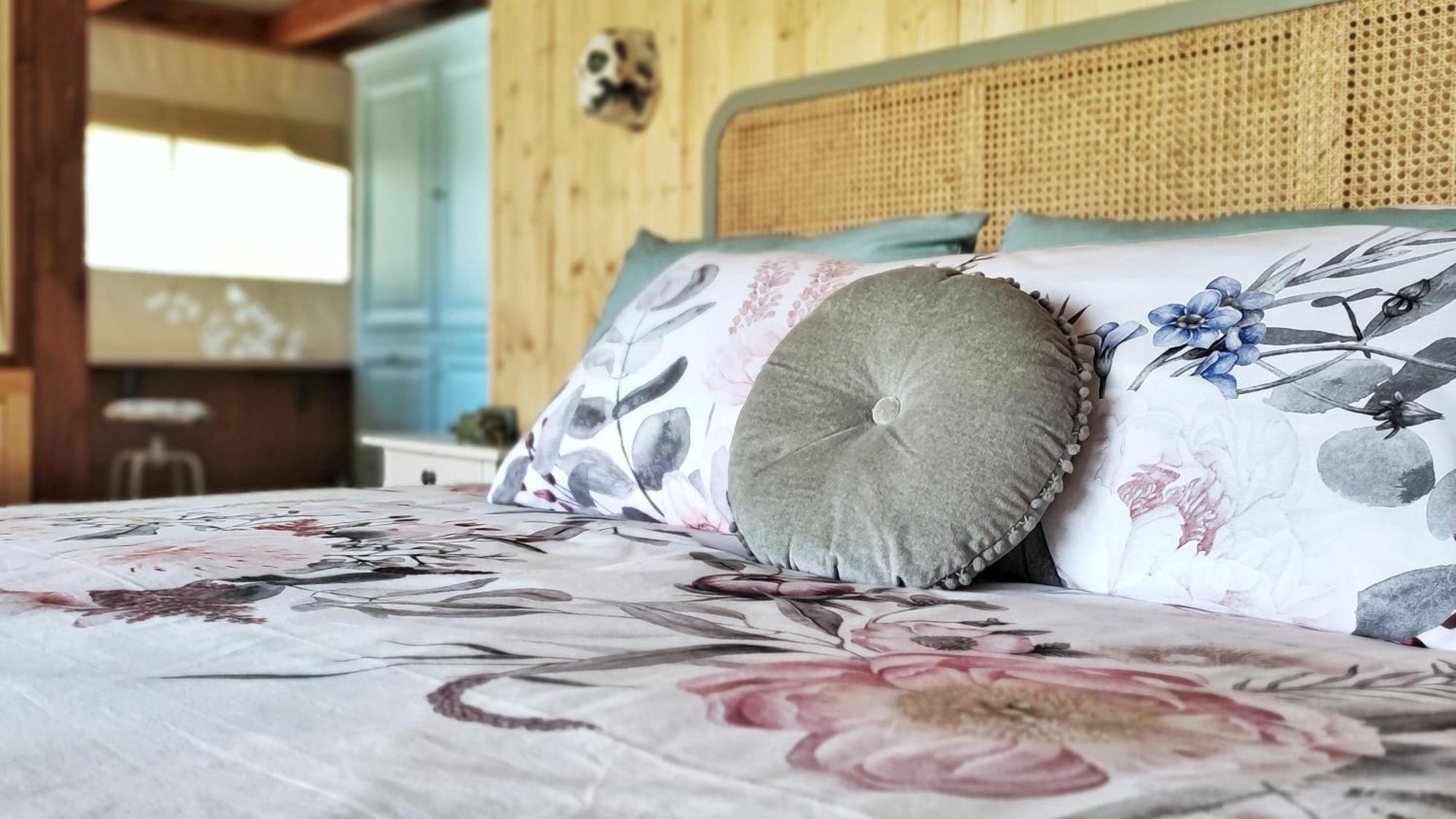 I Sicomori - Seme Di Carota - Glamping E Appartamenti Con Piscina A 사투르니아 외부 사진