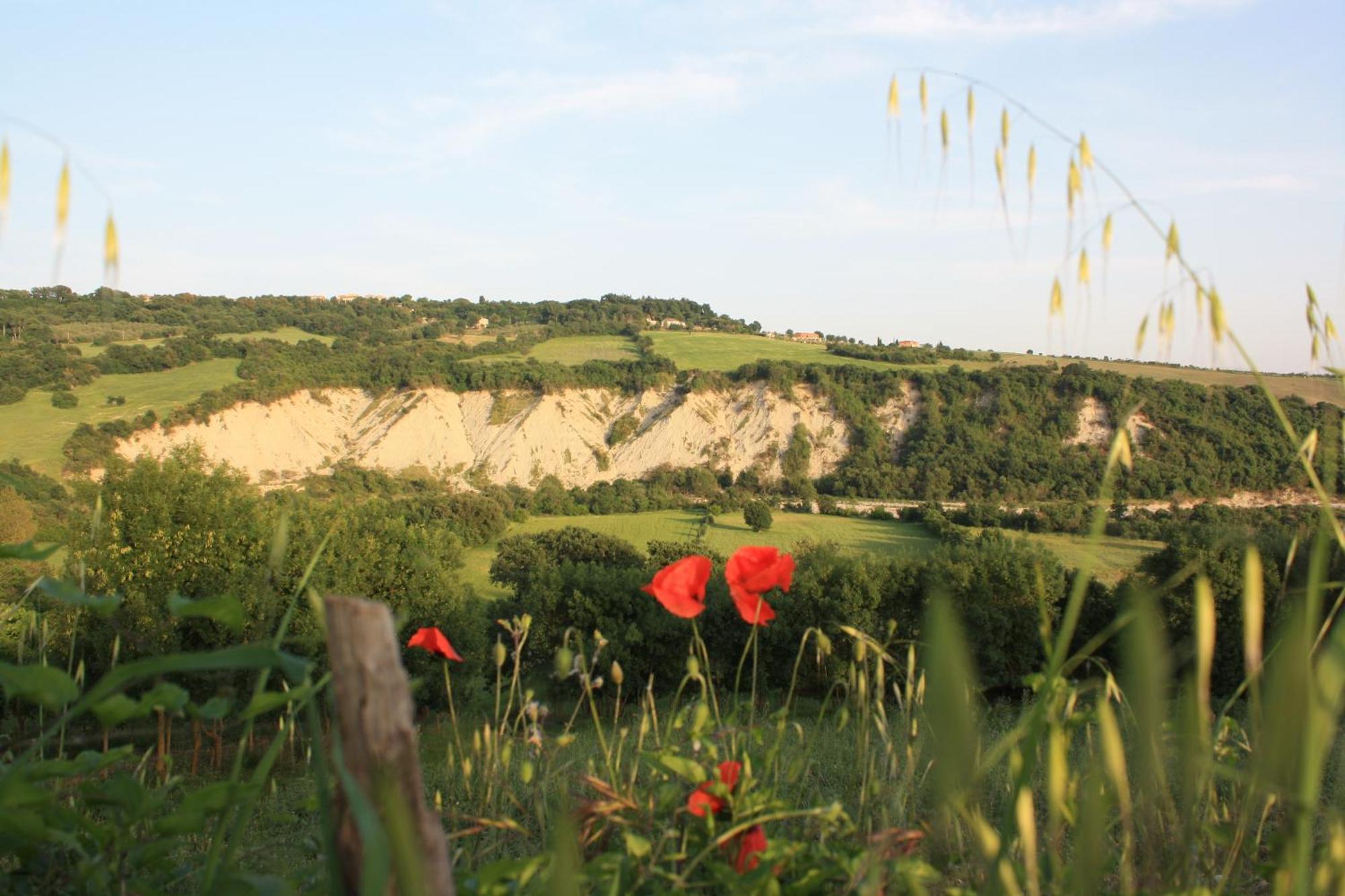 I Sicomori - Seme Di Carota - Glamping E Appartamenti Con Piscina A 사투르니아 외부 사진