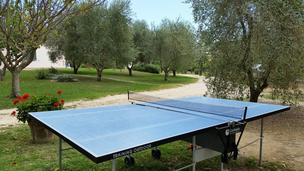 I Sicomori - Seme Di Carota - Glamping E Appartamenti Con Piscina A 사투르니아 외부 사진