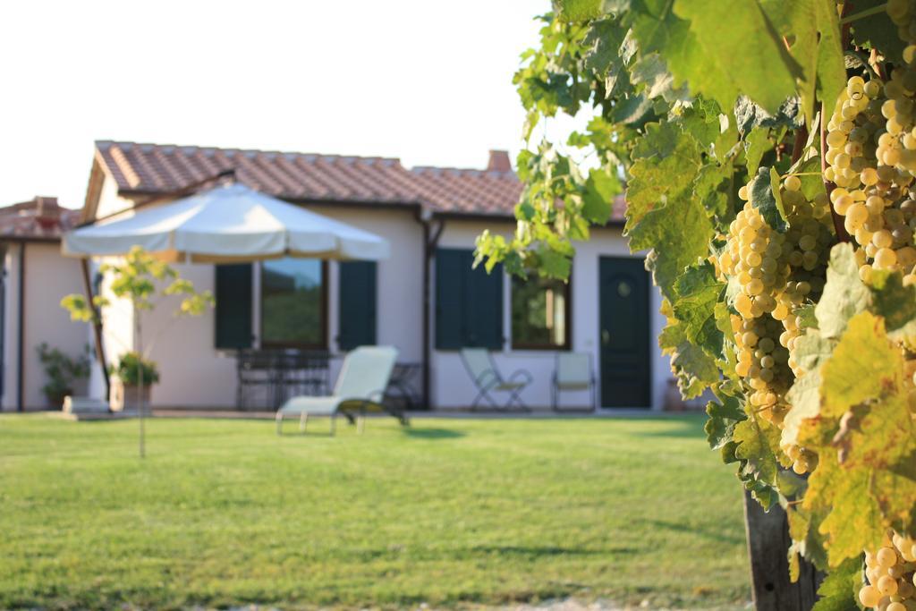 I Sicomori - Seme Di Carota - Glamping E Appartamenti Con Piscina A 사투르니아 외부 사진